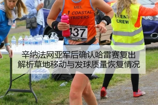 辛纳法网亚军后确认哈雷赛复出 解析草地移动与发球质量恢复情况